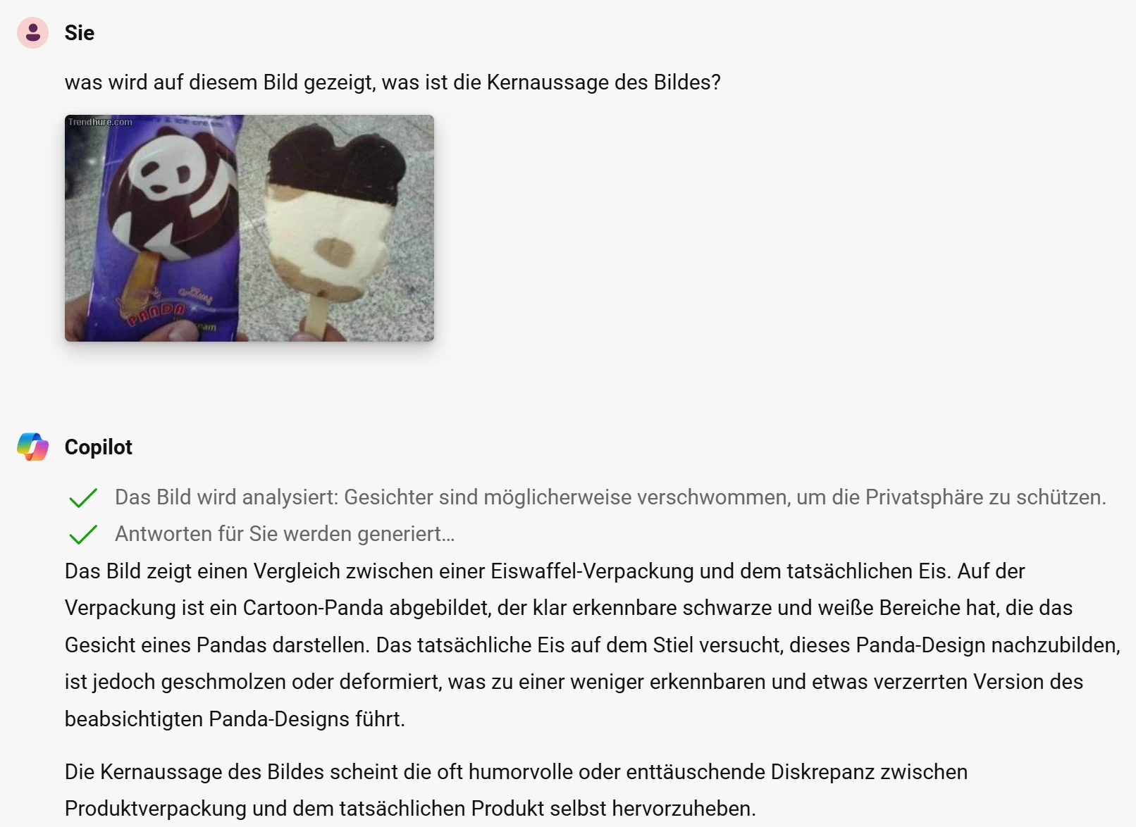 Chat mit Copilot: Frage nach der Kernaussage eines Bildes, das eine Panda-Eis-Verpackung neben dem geschmolzenen Eis zeigt, darunter die Bildbeschreibung